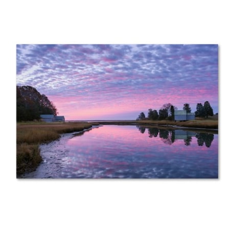 Michael Blanchette Photography 'Rosy Billow' Canvas Art,30x47